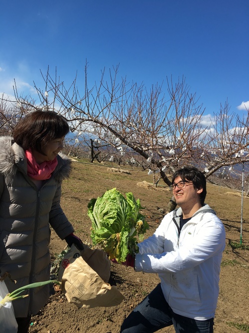 白菜ブーケ　プレゼント.JPG